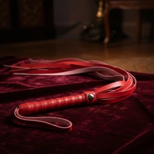 EXITOYS LATIGO PRINCIPIANTES