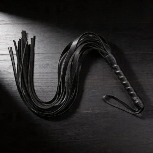 EXITOYS LATIGO PRINCIPIANTES