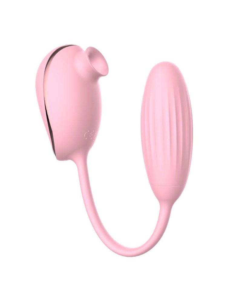 EXITOYS BIRD (LEIOTHRIX)